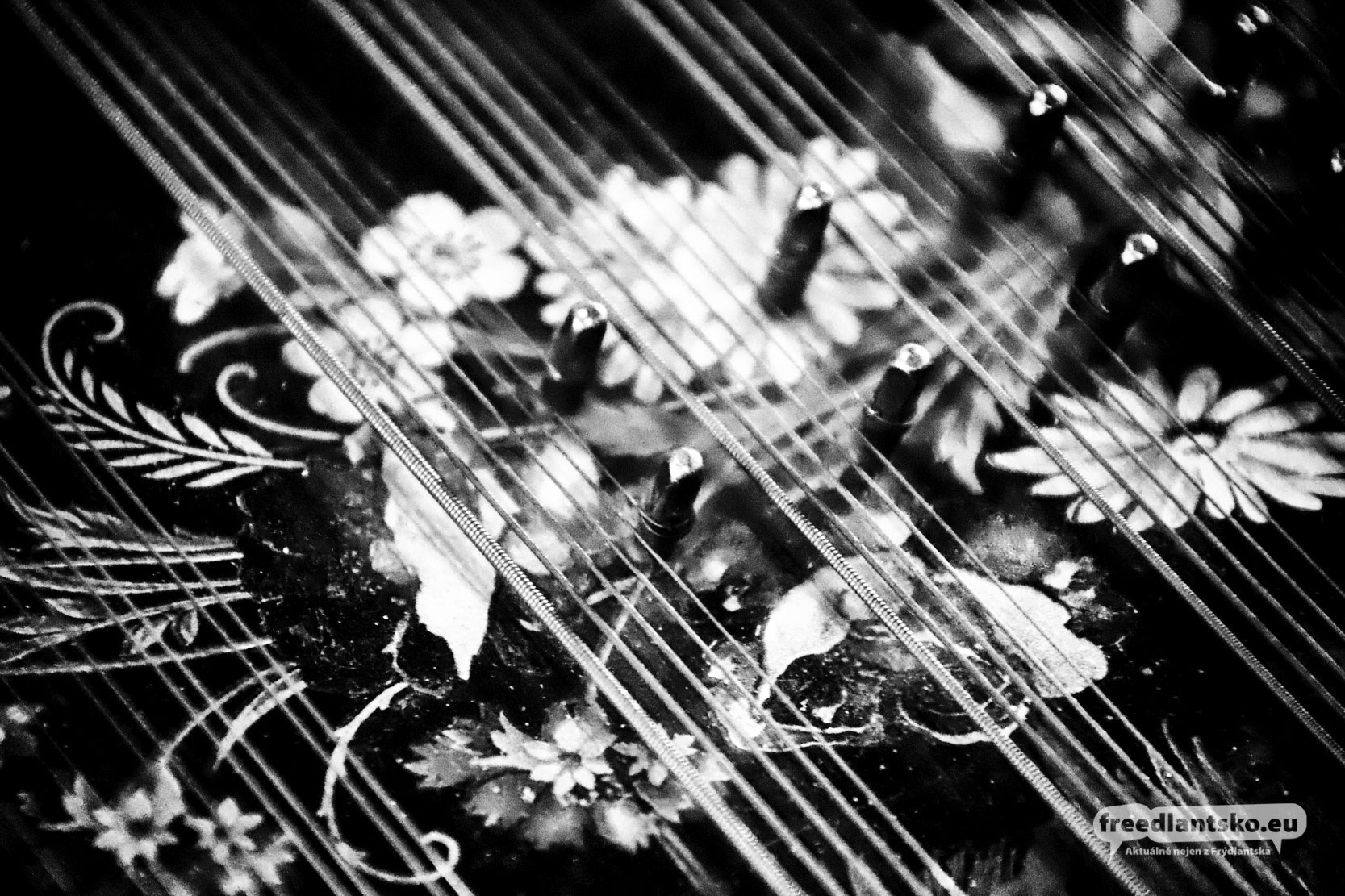 Multiinstrumentalista Tomáš Najbrt nadchnul posluchače ve Frýdlantském výběžku